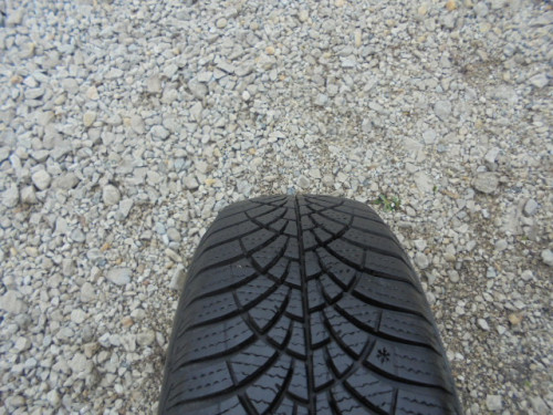 Goodyear Ultragrip 9 reifen